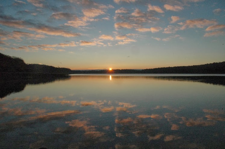 2013-11-24-Ornithologie à St Hubert